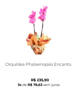 Produto 4